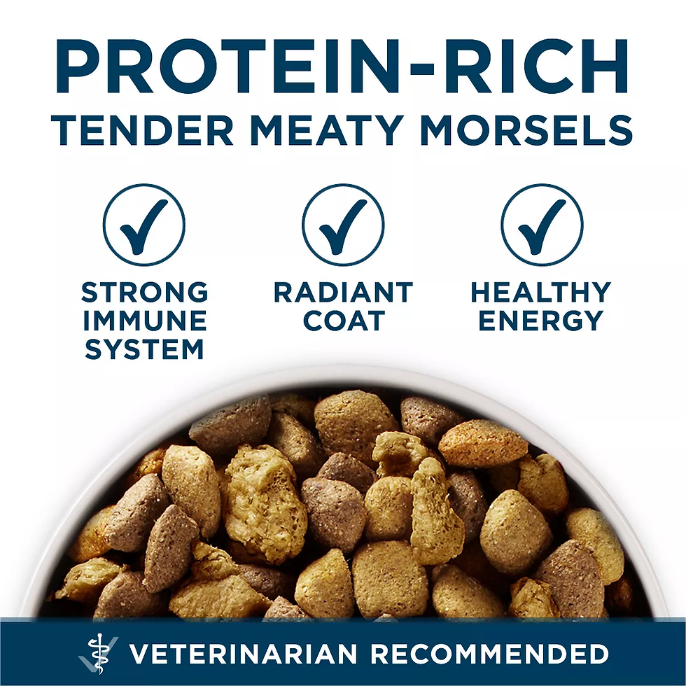 Miniatura: Purina ONE Smartblend Dry Dog Food - Large Breed Adult Chicken Formula