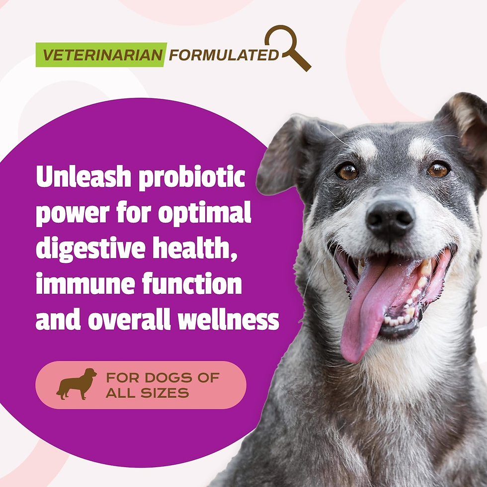 Thumbnail: Pet Naturals Daily Probiotic – Digestive & Immune Support Duck Chews