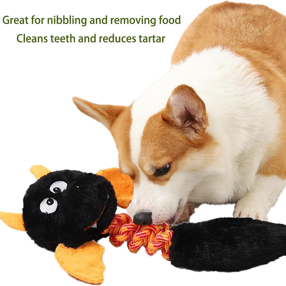 Miniatura: Squeaky Plush Dog Toy with Rope Knots | Soft Rabbit Fleece & Crinkle