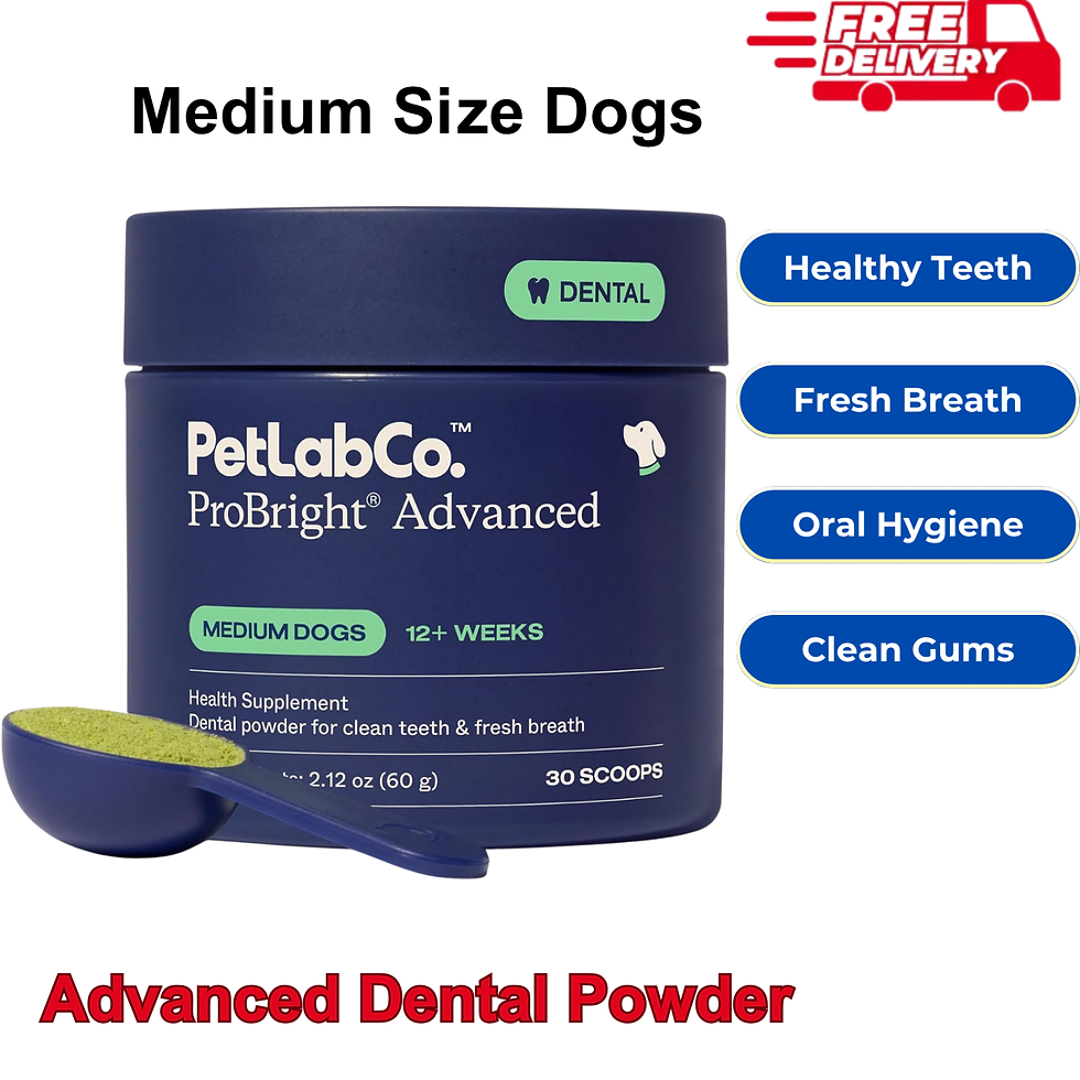 Thumbnail: PetLab Co. ProBright Advanced Dental Powder – Effortless Teeth & Breath Care