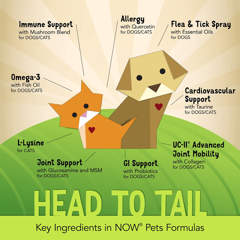 Miniatura: NOW Pets L-Lysine Powder – Pure Immune & Respiratory Support