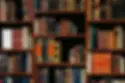 image-asset (2).webp