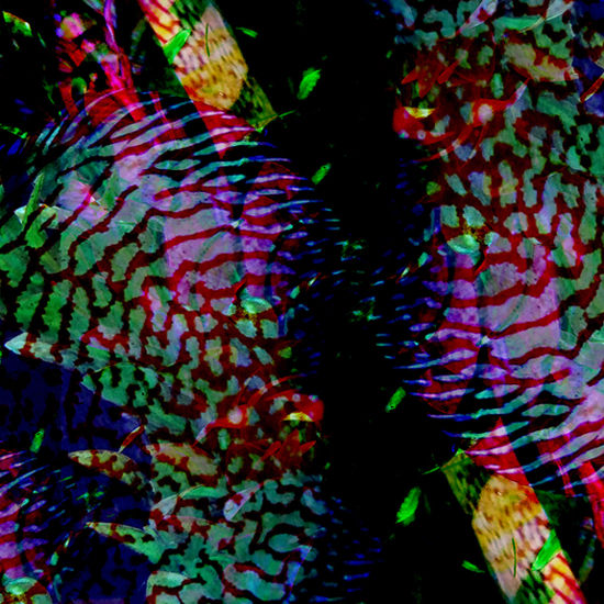 FISH TANK