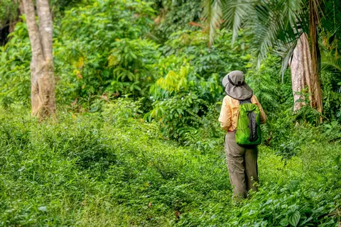 lady walking through rainforest