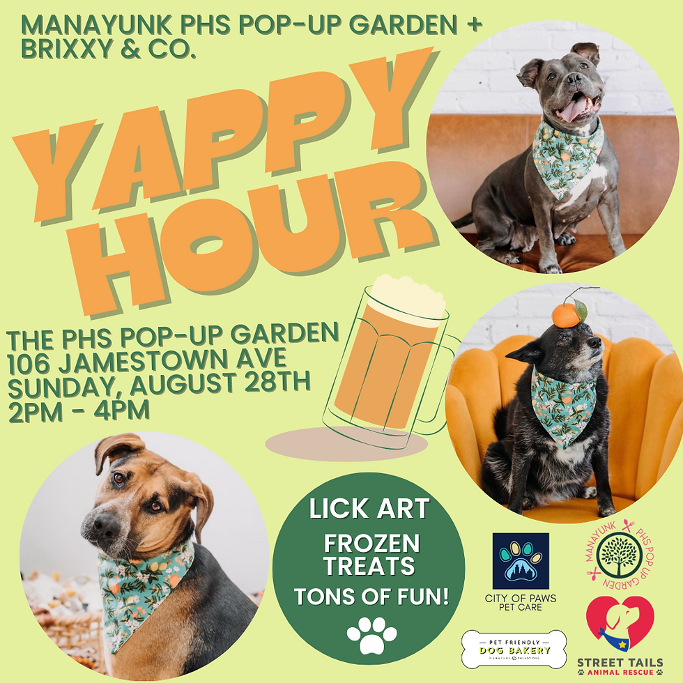 Yappy Hour: PHS Pop-Up Garden Manayunk