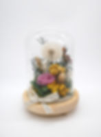 Thumbnail: Dandelion and Rose LED Light Dome