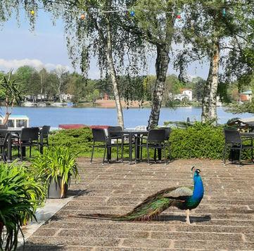 Seminarhotel am See
Tagungshotel am Wasser
Businesshotel am See
Konferenzhotel mit Seeblick
Seminarraum am Wasser
Tagungsstätte am See
Veranstaltungsort am See
Seminarhotel mit Naturumgebung
Business & Erholung am See
Seminarhotel mit Outdoor-Aktivitäten
Tagungshotel in der Natur
Wellness & Business am See
Gruppenreisen am See
Incentives am Wasser
Teambuilding am See

Weihnachtsfeier
Neujahrsauftakt
Winterretreat
Winterfeier
Seeufer
Natur
Entspannung
Panorama
Wassersport
Ruhe
Komfort
Erholung
Ausblick
Urlaub
Naturverbundenheit
Freizeit
Wellness
Seeblick
Abenteuer
