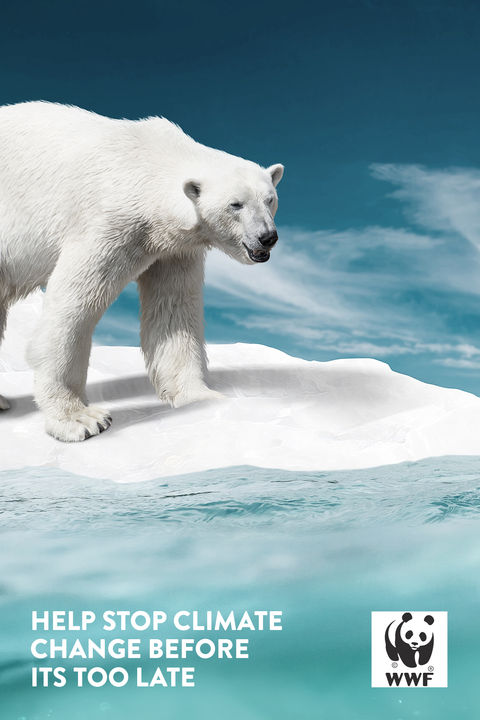 WWF Social Good Campaign (Polar Bear)