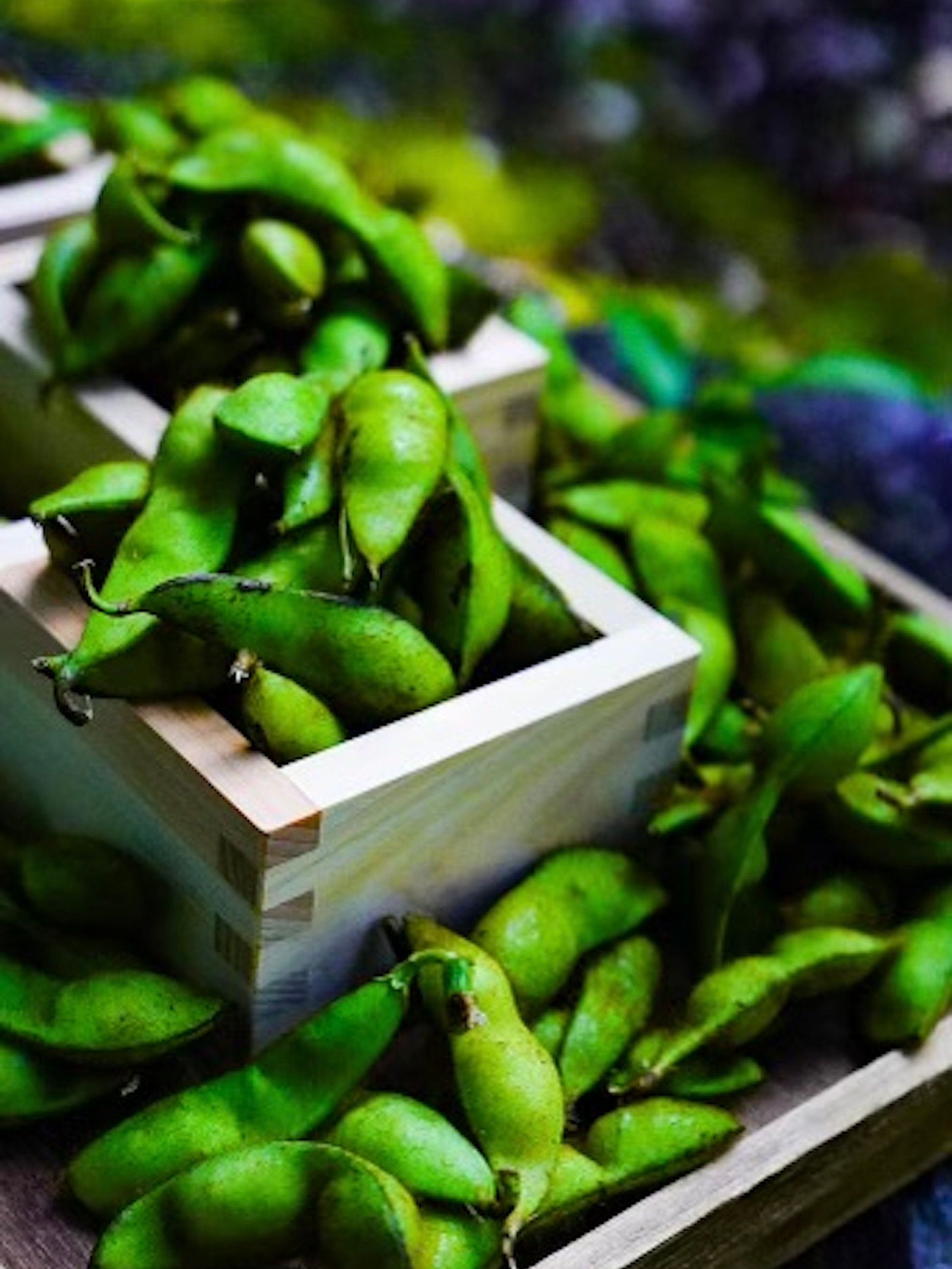 丹波黒大豆 黒大豆の枝豆 黒ムラサキ 商標登録