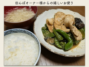 田んぼオーナー 新米 ふくこめ