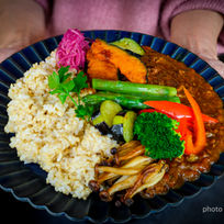 美味しいお米　玄米　玄米カレー　お米の通販サイト　おこめ