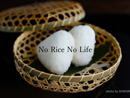 お米なしでは生きていけない!rice