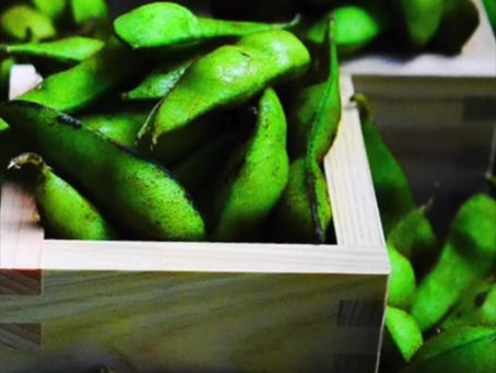 『黒ムラサキ』は、夜久野発黒大豆の枝豆