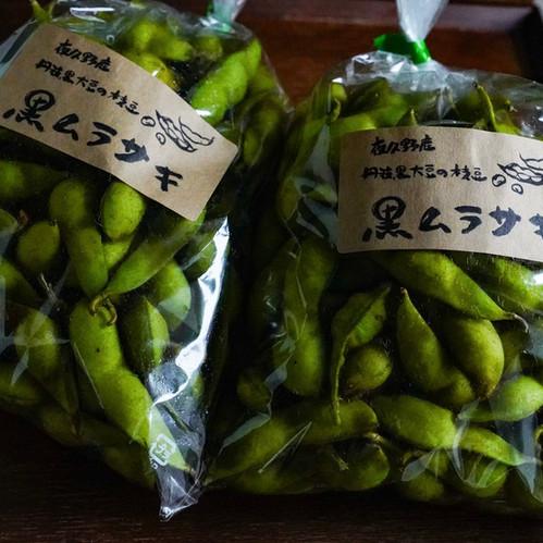 丹波黒枝豆　3kg  baron 丹波黒枝豆 枝付 3kg(京都 京丹波町産 丹波黒大豆) | 京都府京