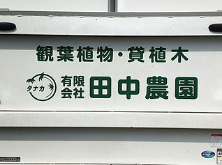 DSCF1225.jpg