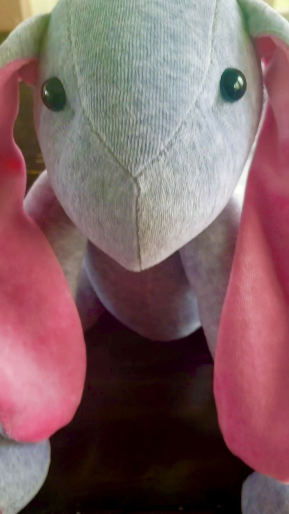 Thumbnail: Trixy the Bunny