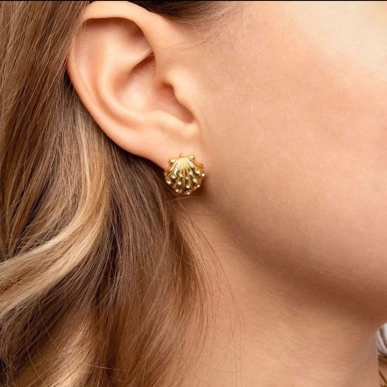 Seashell Studs
