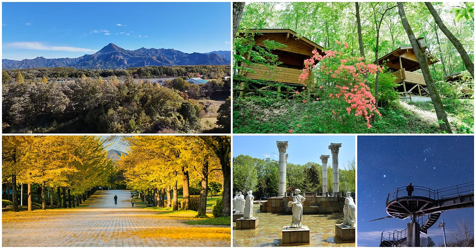 🦋 Overnight ET Contact/Training Event in Chichibu, Saitama Prefecture, October 10-11, 2026