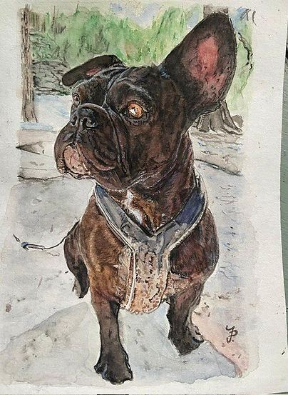 Aquarellbild Portrait Hund