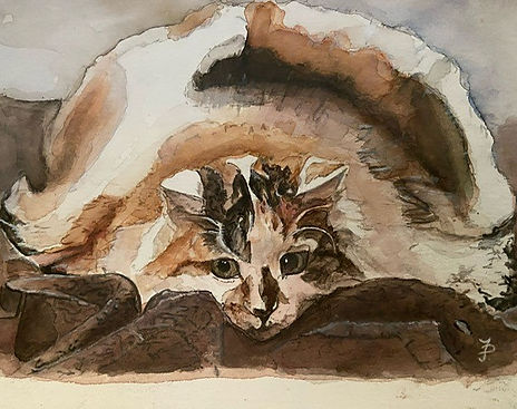 Aquarellbild Portrait Katze
