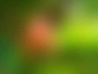 Caju é o alimento homenageado do ano no Congresso Internacional de Nutrição Integrativa