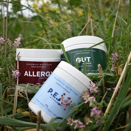 Allergy Support That Works. Inside and Out.