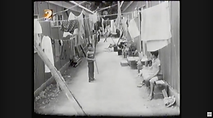 Captura de ecrã 2026-06-23, às 12.30.57.png