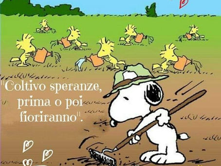 The importance of dreams and teamwork