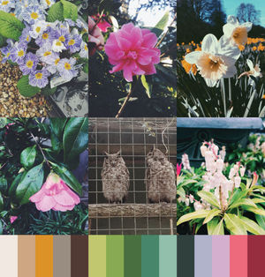Renewal Final Colour Story