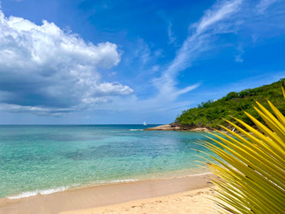 Sunny landscape of Landing Bay Beach in St. John's Antigua