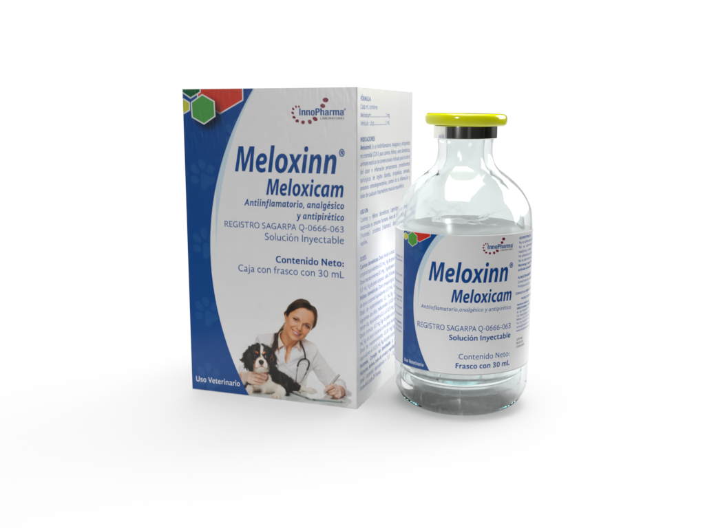 Meloxinn