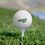 Thumbnail: Lady Links Bridgestone Golf Balls