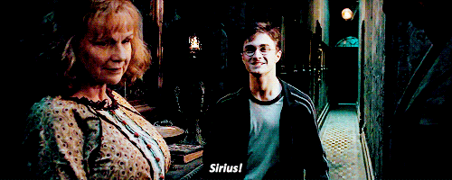 Harry Potter, HP, Hogwarts, JK Rowling, Potterheads, Pottermore, Wizards, Witches, Magic, Spells, Potions, Chants, Animagus, Padfoot, Sirius Black