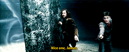 Harry Potter, HP, Hogwarts, JK Rowling, Potterheads, Pottermore, Wizards, Witches, Magic, Spells, Potions, Chants, Sirius Black, Order of the Phoenix