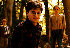Harry Potter, HP, Hogwarts, JK Rowling, Potterheads, Pottermore, Wizards, Witches, Magic, Spells, Potions, Chants, Horcrux, Hex, Stupify