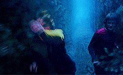 Harry Potter, HP, Hogwarts, JK Rowling, Potterheads, Pottermore, Wizards, Witches, Magic, Spells, Potions, Chants, Animagus, Cedric Diggory, Third Task, Goblet of Fire, Maze