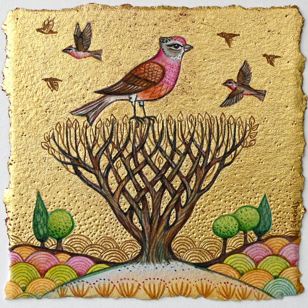 Linnets SOLD