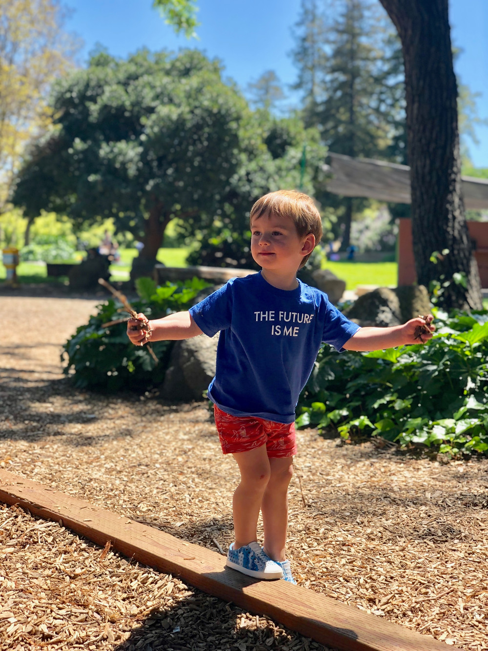 little boy with handfuls of woodchips, walking on beam at San Jose playground
