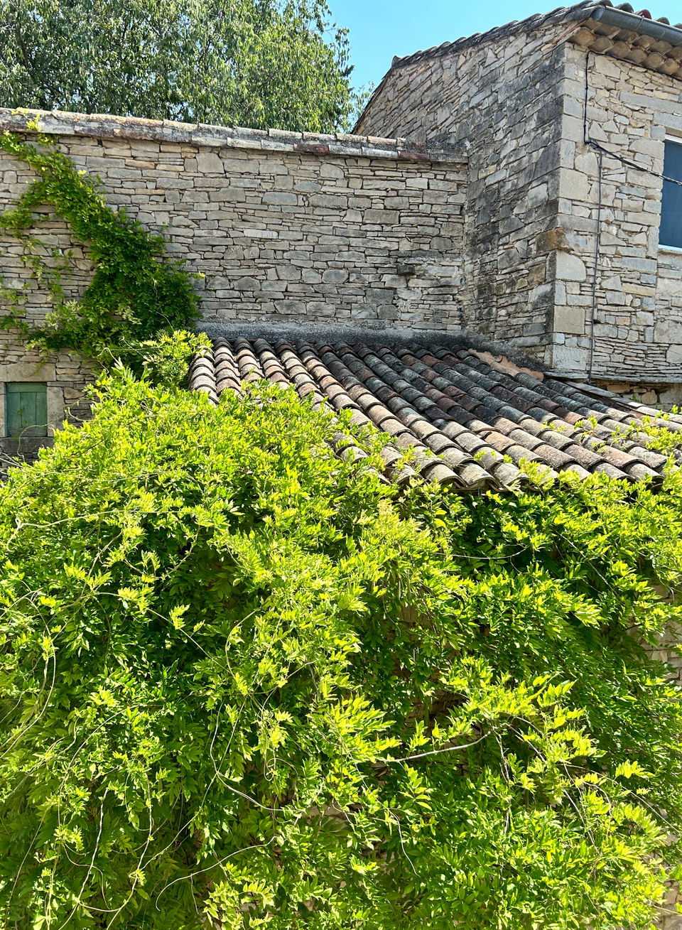 Gîte Gilluamand Cévennes