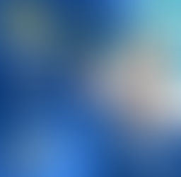 Charting Your Course: Career Guidance from Blub World's Career Q&A Session