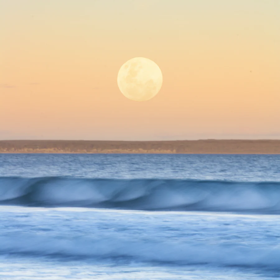 Full Moon in Virgo: Sound healing with Tibetan bowls and gongs
