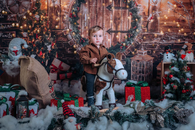 Christmas Mini Session