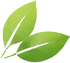 icon-1.png