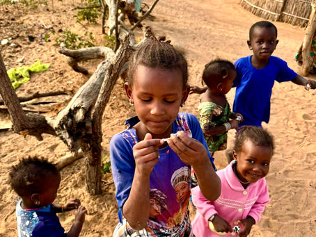 Alla Scoperta del Senegal: Un Viaggio tra Magia, Comunità e Meraviglie Naturali.
