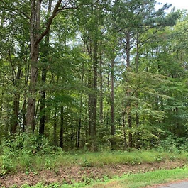Lot 8, Peaceful Pond Drive, Jamesville, VA 23398
