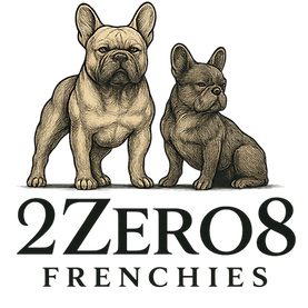 Transparent background_edited.png