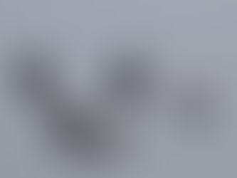 Up, Up, and Away! Meet the Mountain-Climbing Geese!