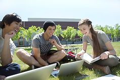 Studying on the Grass