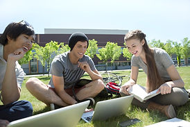 Studying on the Grass