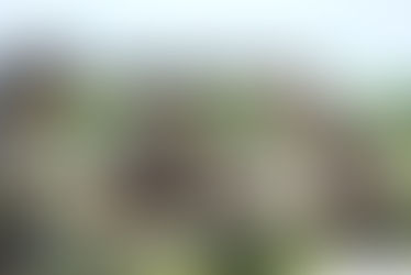 4 Plans for 2020 - University System of Georgia